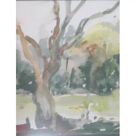 Obraz - Akvarel - Suchý strom - Mgr. Margita Rešovská
