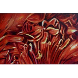 Lúka červených kvetov - Gabriela Žolnová
