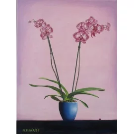 Orchidea-Minár Marek - Artdiela