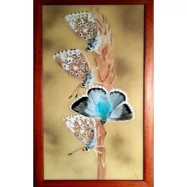 Motýle - Jana Gubová
