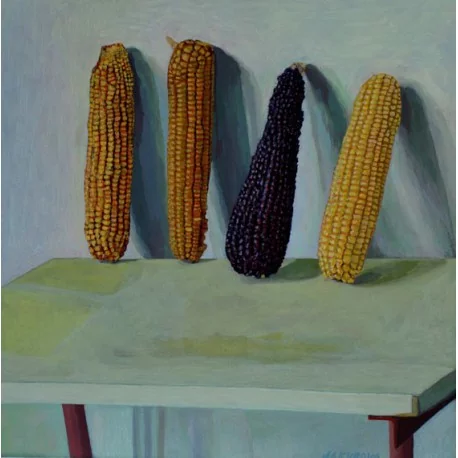 Originál obraz- Zátišie-kukurica