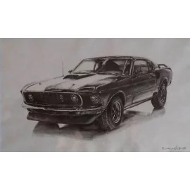 Mustang Shelby - Simona Vagaská